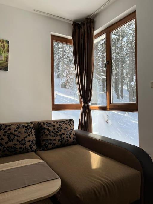 Forest Place Lejlighed Pamporovo Eksteriør billede